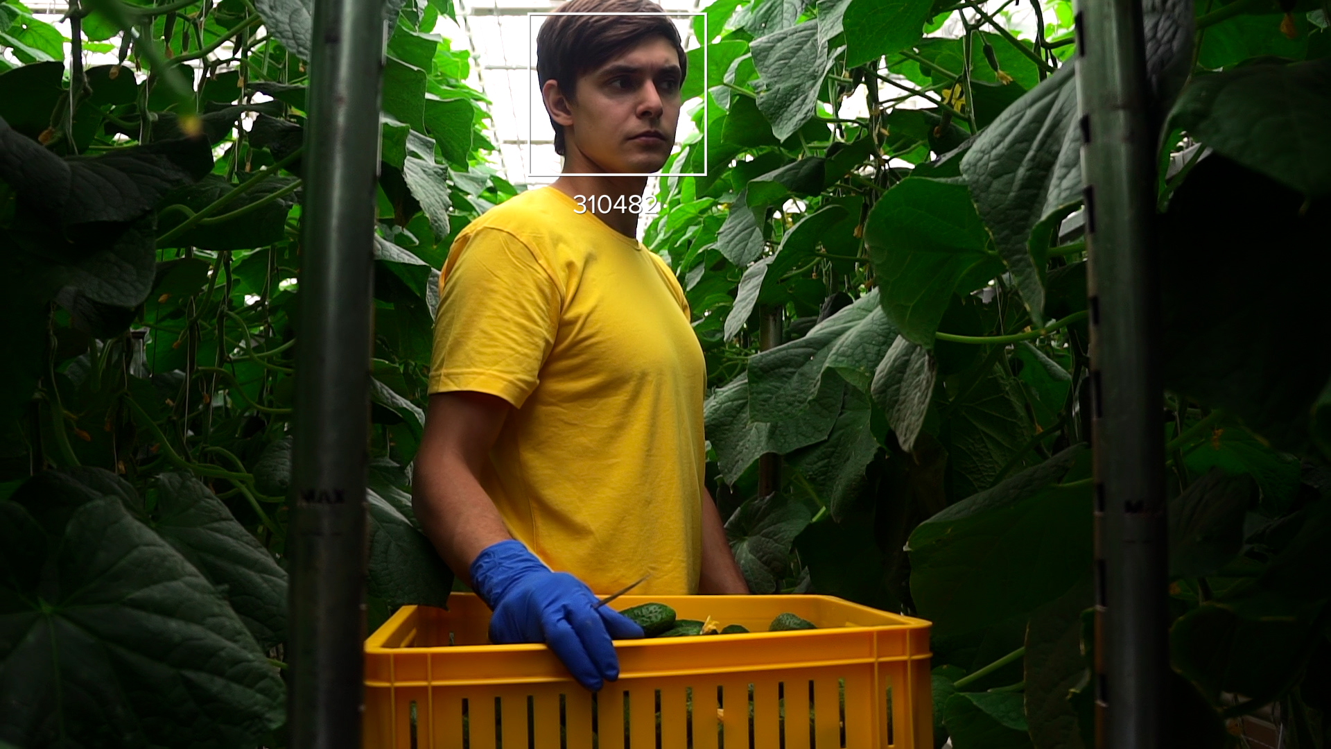 Reconocimiento facial con LaborApp: digitaliza el control del personal agrícola