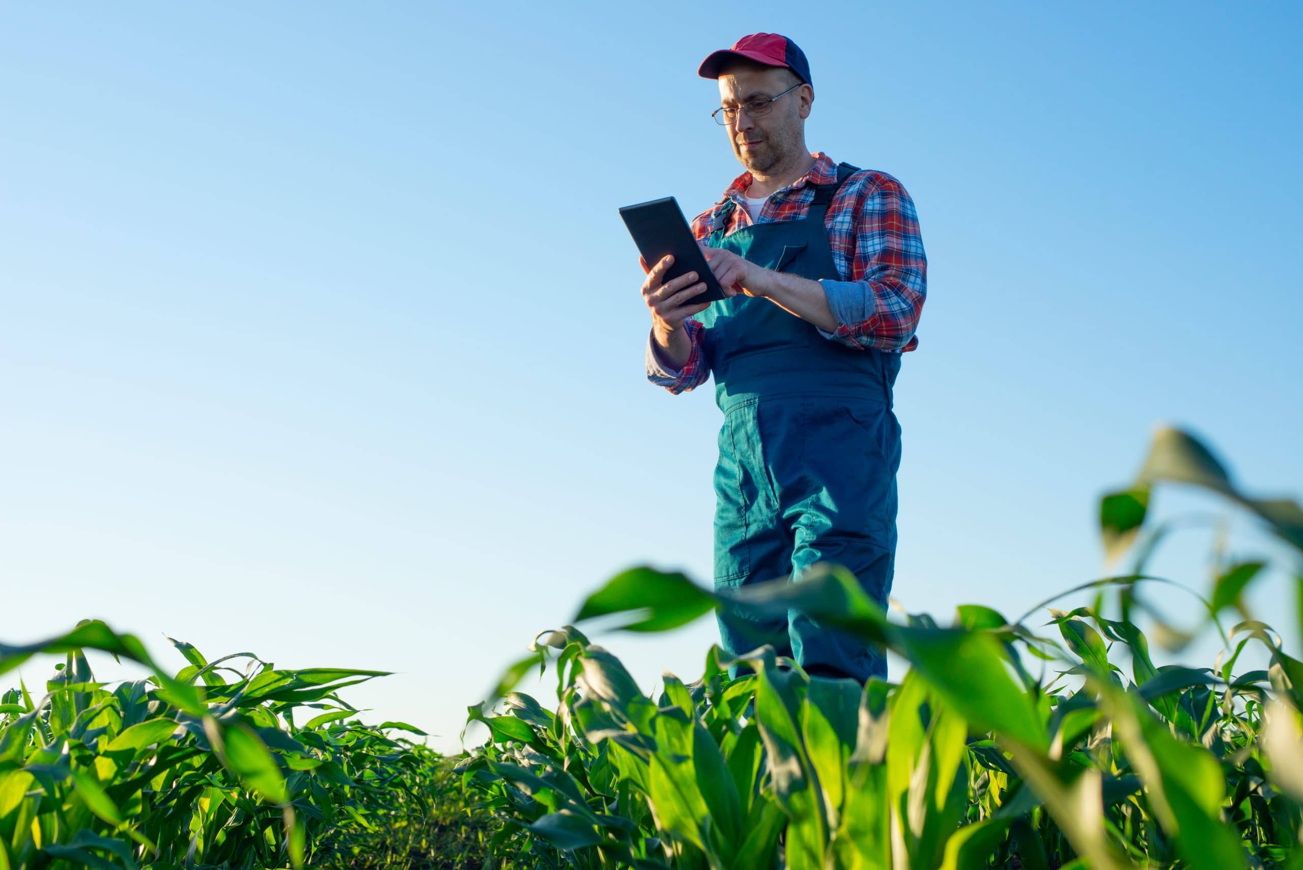 8 buenas prácticas para la gestión de la información agrícola en apps móviles