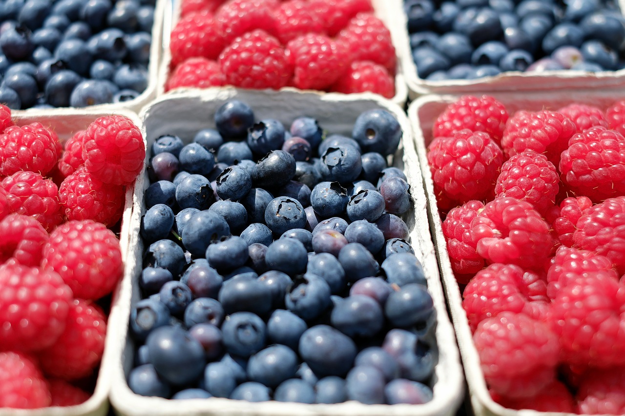 HarvestApp y LaborApp: fusión de agrotecnología para la cosecha de berries