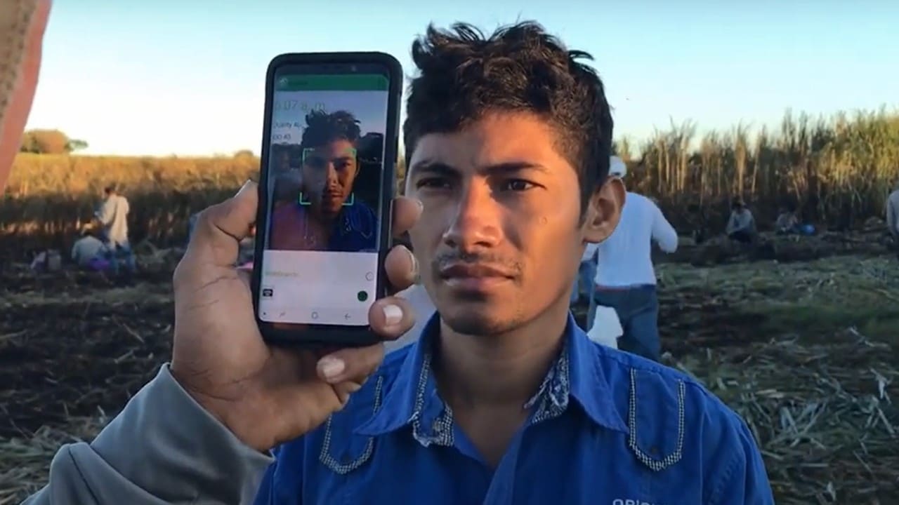 Serie LaborApp: reconocimiento facial en el sector agrario, la nueva era de la identificación