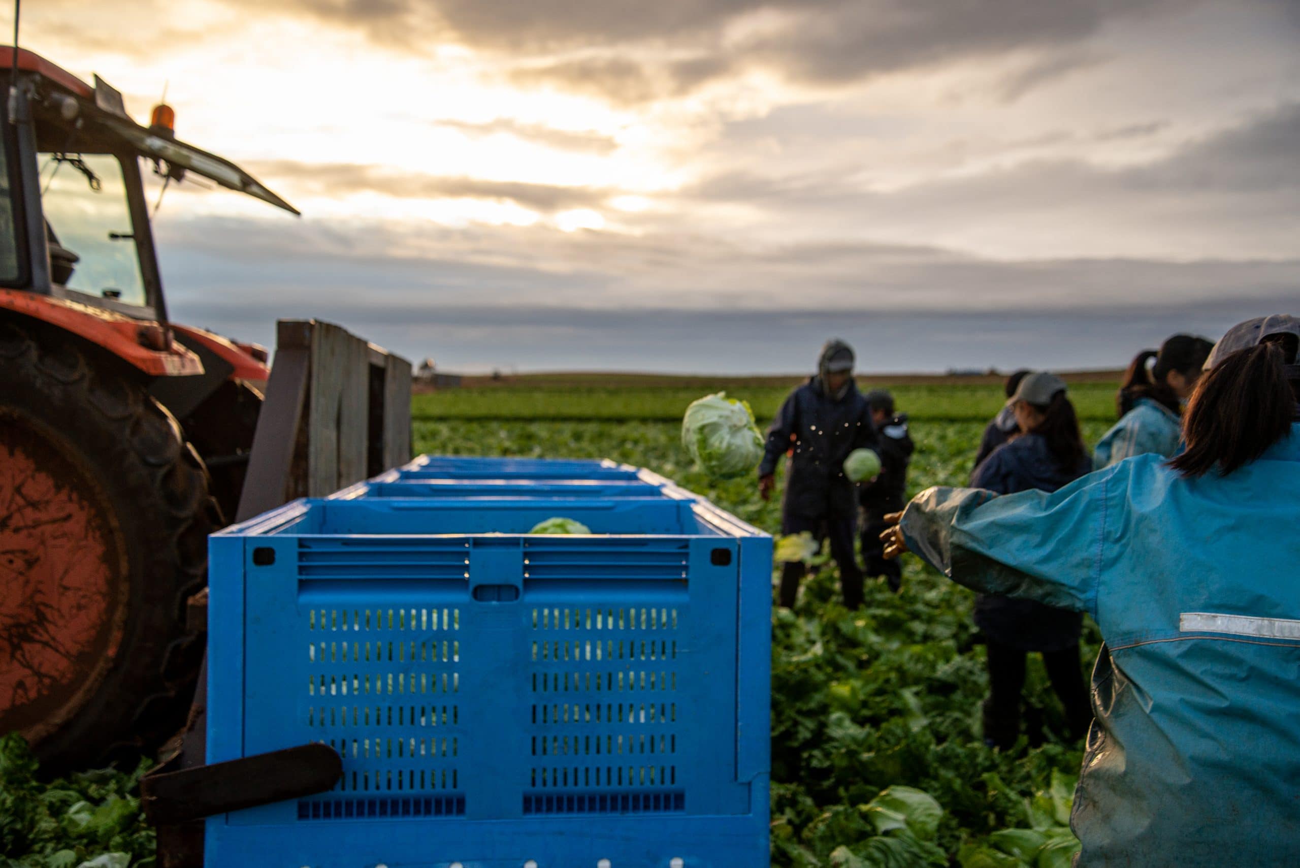 Evita la suplantación de identidad con la agrotecnología de identificación