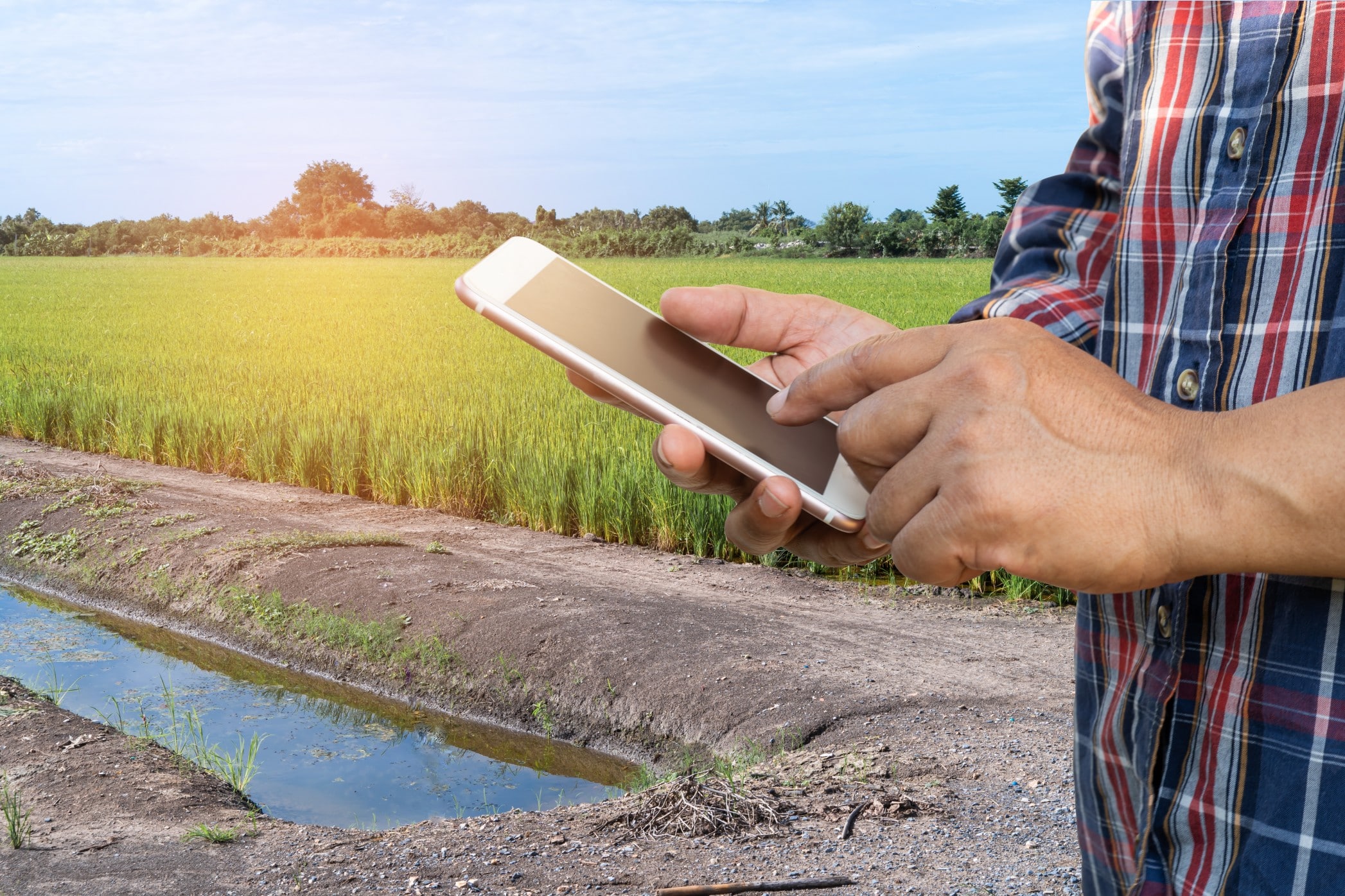 5 sencillos pasos para escoger la mejor App para tu agronegocio