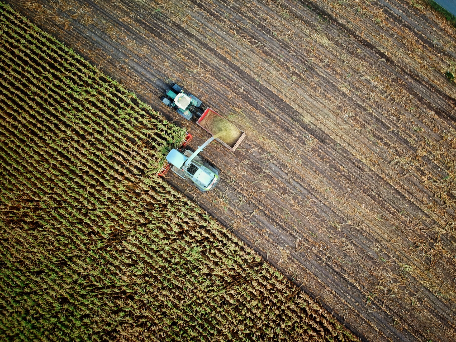 Los agrónomos ante la digitalización: miedos y factores.