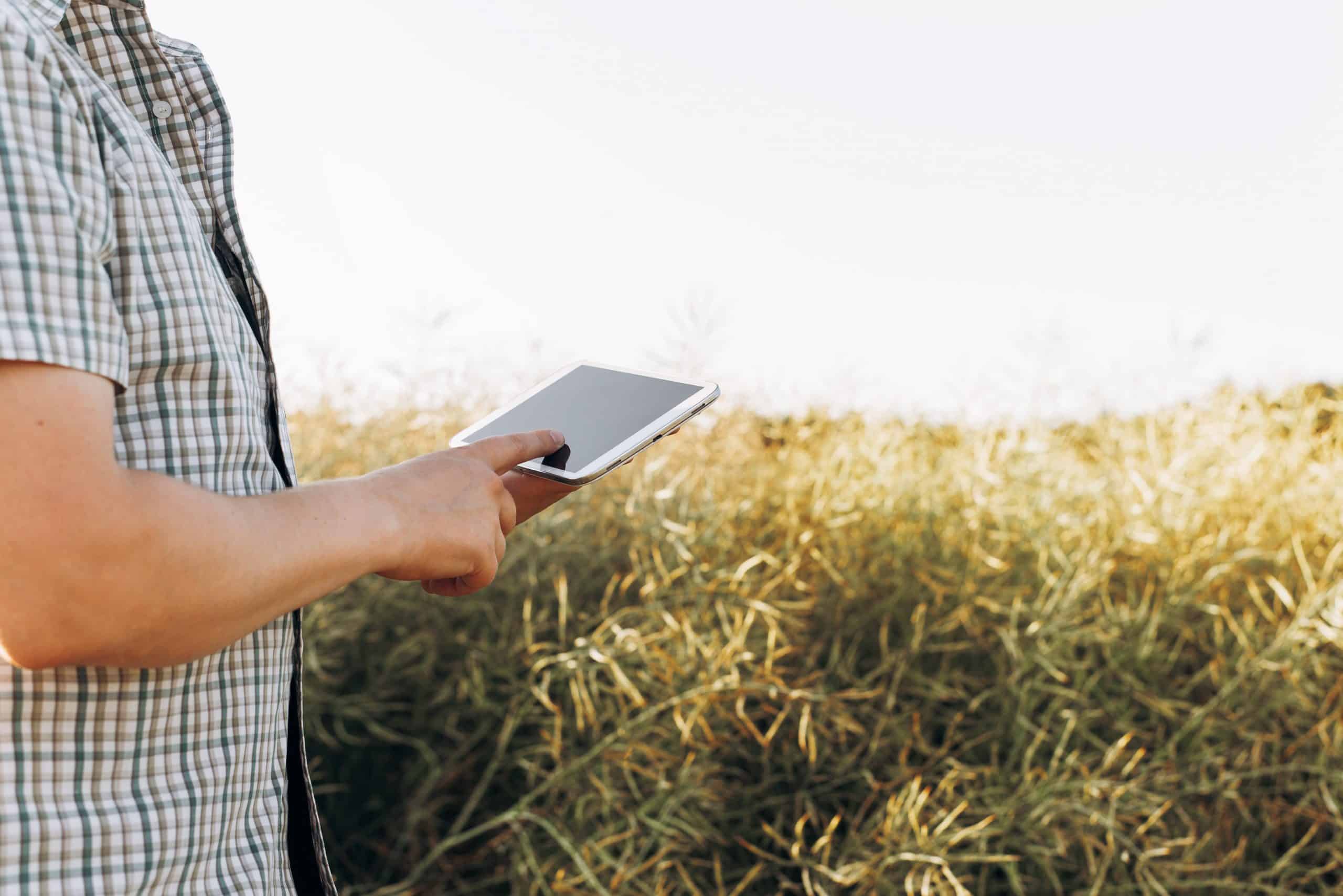 Rentabilidad y futuro: 6 rasgos comunes en negocios agrícolas digitalizados
