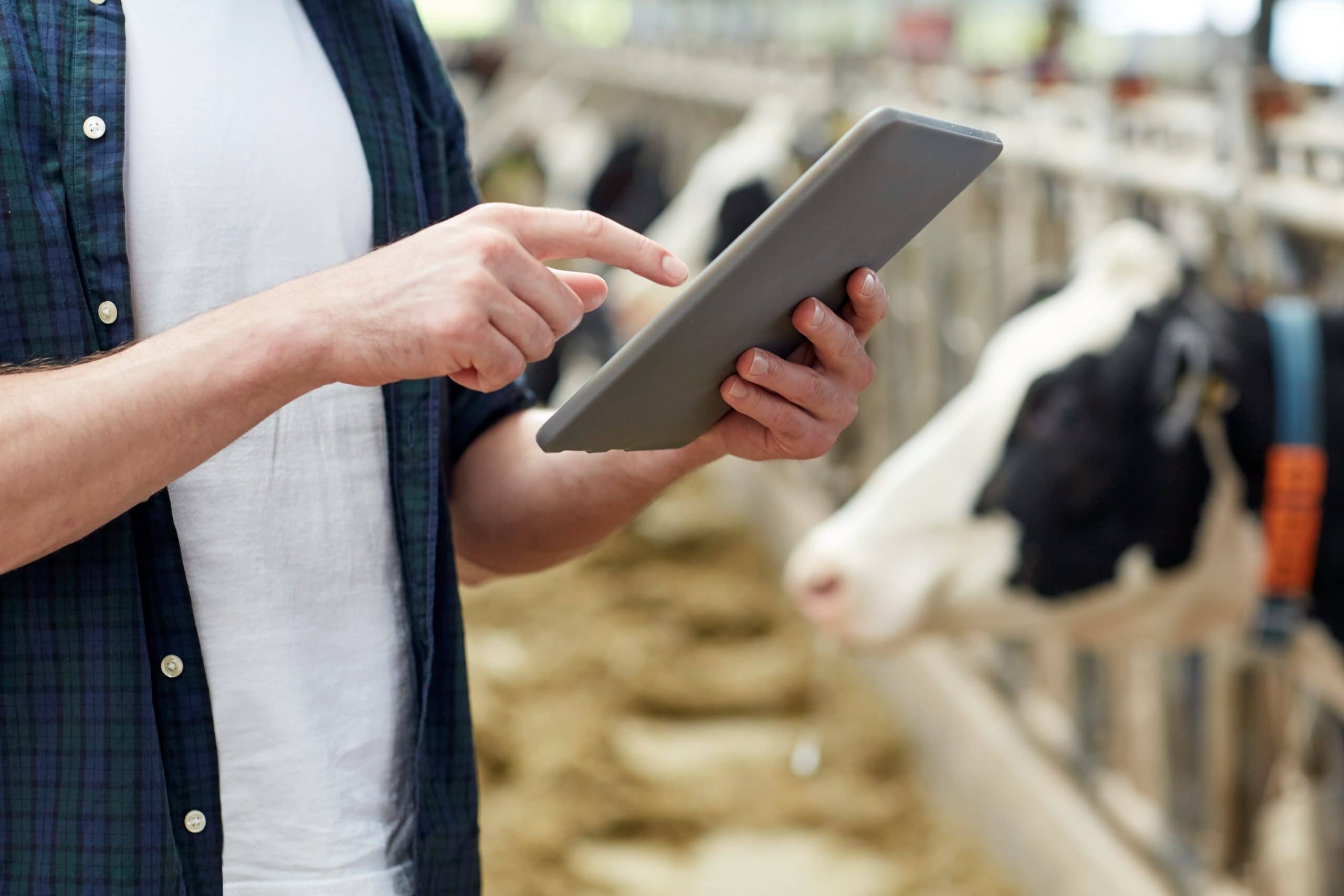 Mitos y verdades en el campo (II): 5 verdades acerca de las apps móviles agrícolas
