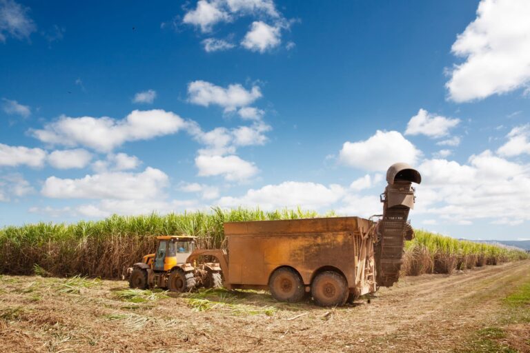 Agrotecnología para mejorar productividad en la industria azucarera