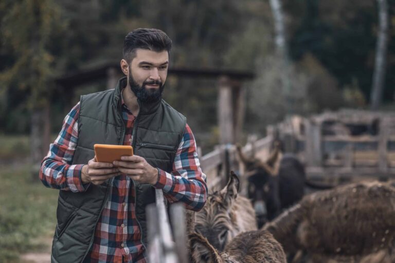 5 retos del agronegocio para la adopción de  soluciones digitales en Latinoamérica